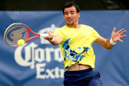 dodig