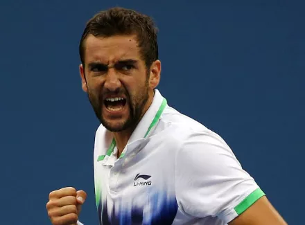 cilic1